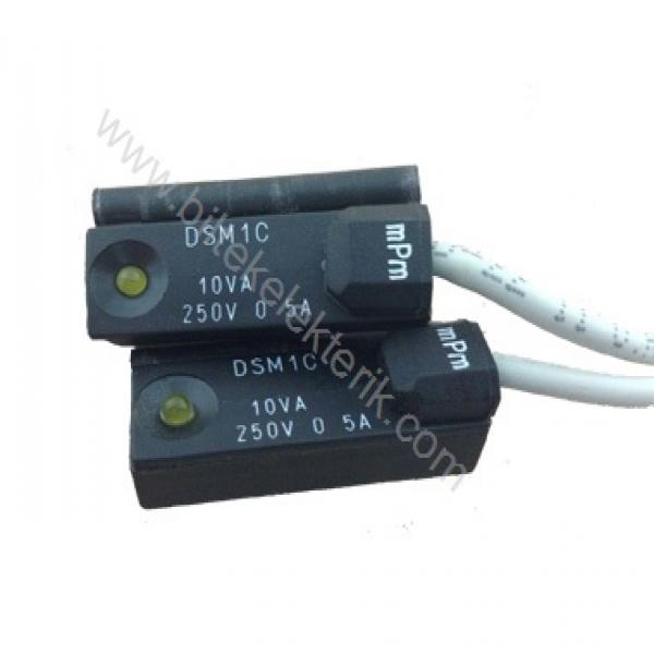MPM DSM1C - DSM1C525 Piston Silindir Sensör